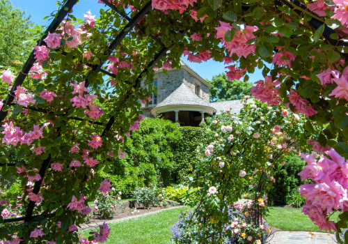 Exploring College Towns and University Communities in Bucks County