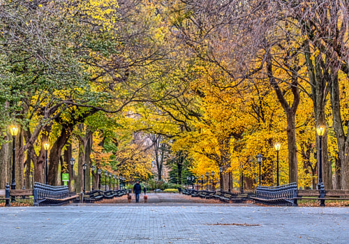 Exploring Access to Parks and Recreation in Bucks County: A Neighborhood Comparison
