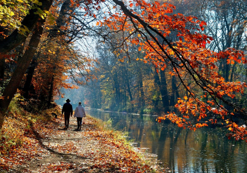 Exploring the Best Nightlife Spots in Bucks County